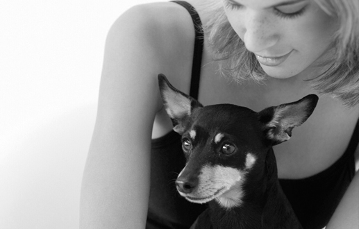Pet identification and reunification