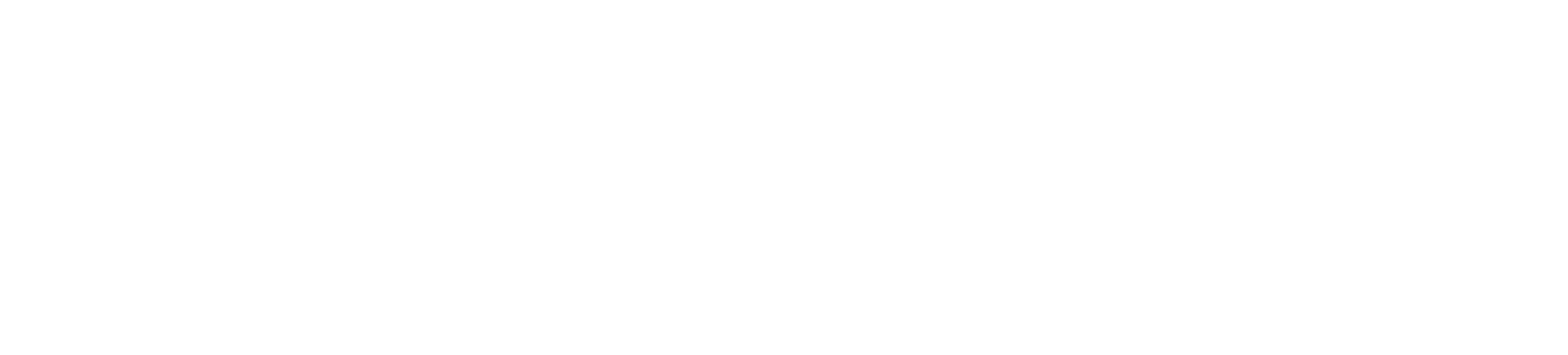 Datamars_Pet_Logo_18pt_white