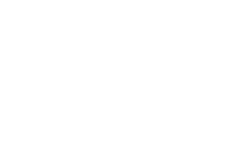 Datamars Pet