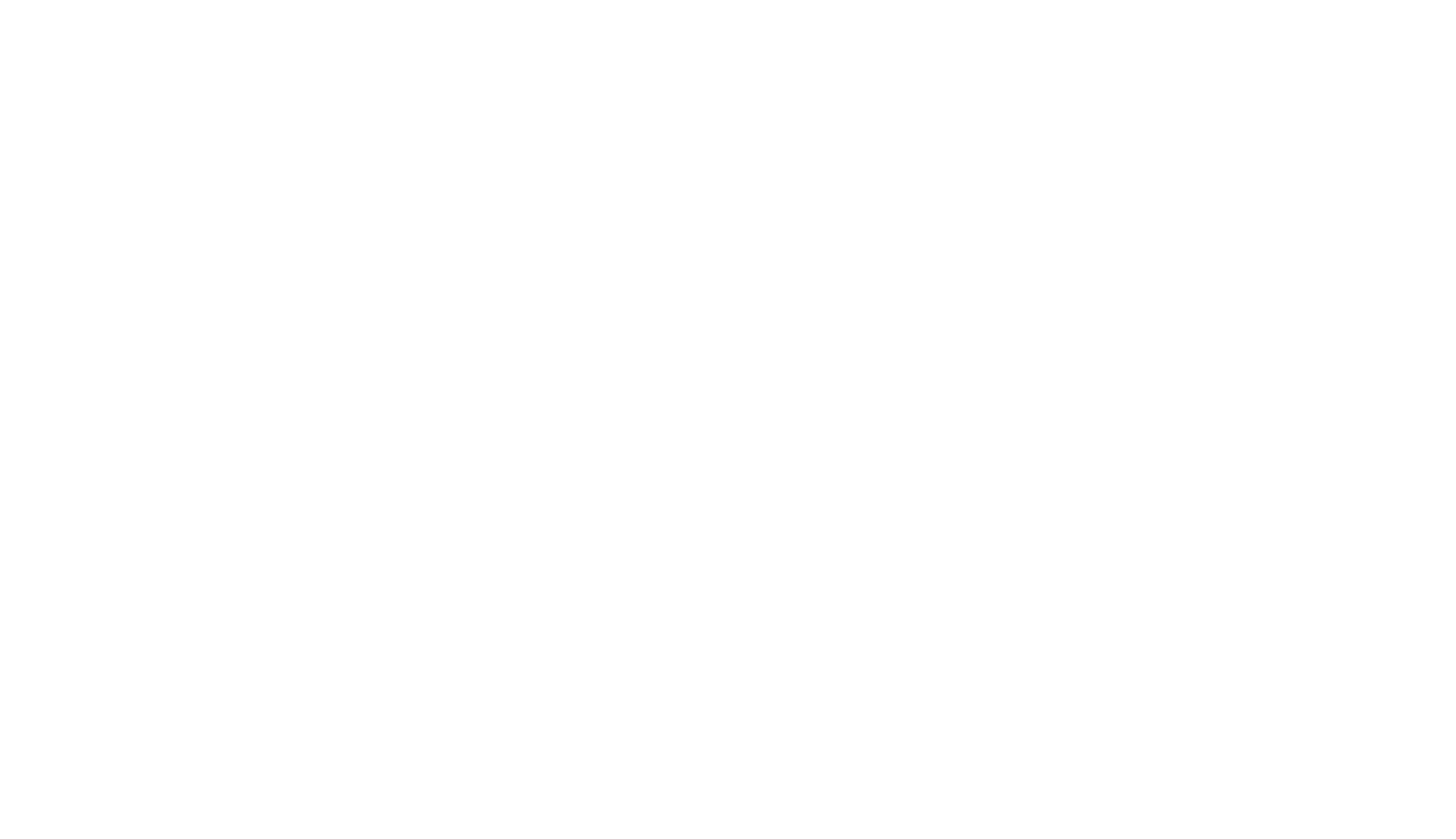 Petlink Vethica